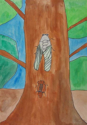 せみがうまれたよ！！