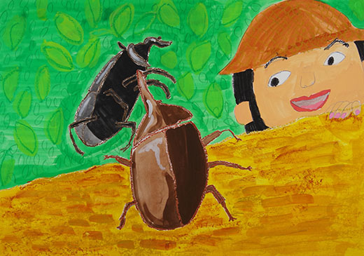 かぶと虫とくわがた虫と私