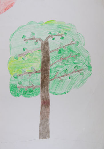 自然のまもりの木