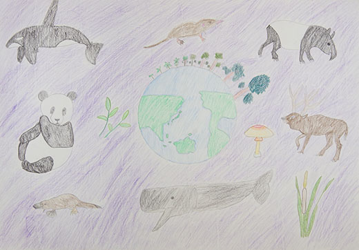 地球の生きもの