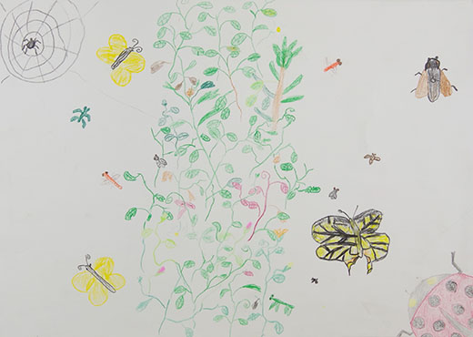 緑による生き物たち