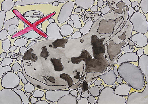 川の中のサンショウウオ