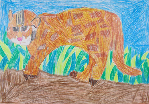 ツシマヤマネコ