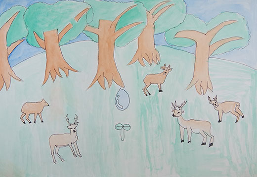 人の手がとどかない所