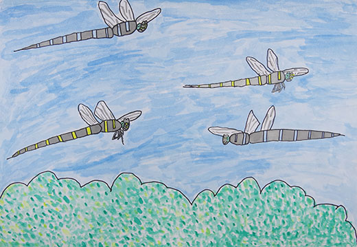 あっ森の上にとんぼがいる。