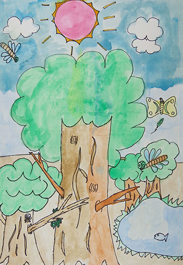 夏にいる生き物たち