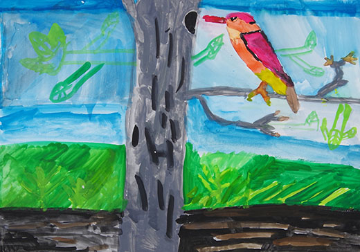 アカショウビンの巣