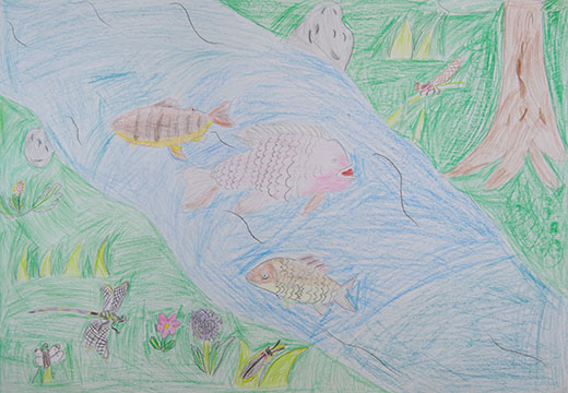 きれいな川のしぜん