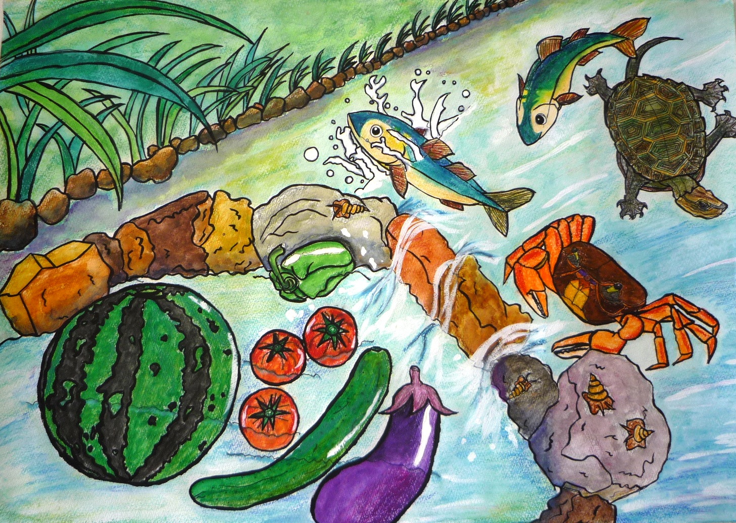 きれいな水をありがとう