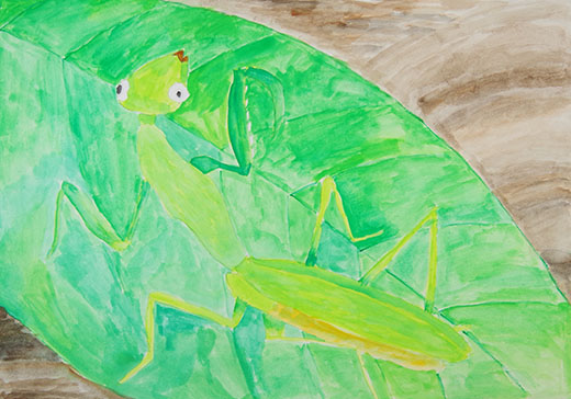 葉の上のかまきり