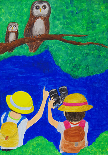 野生のフクロウに会いに行こう！！