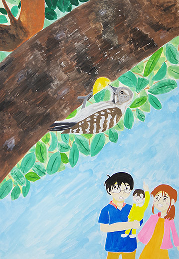 キツツキを見上げる親子