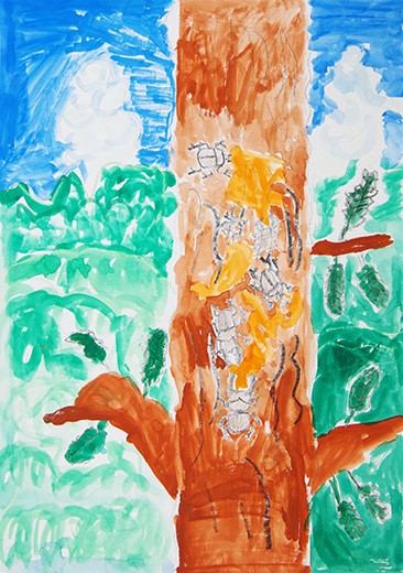 ニュードー雲とクワガタの森