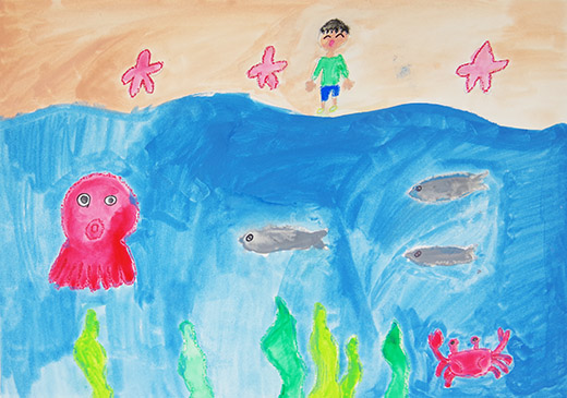 海の生き物を知りたいな