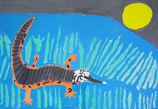 アマゾンの野生ワニ