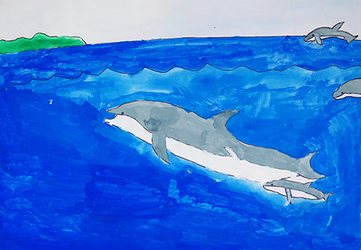 イルカのむれ
