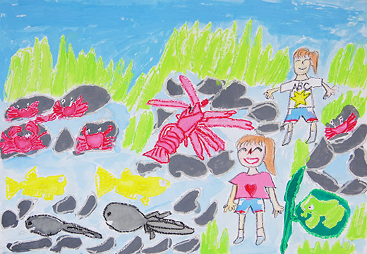 生きものいっぱい川あそび