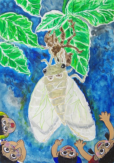 アブラゼミの羽化