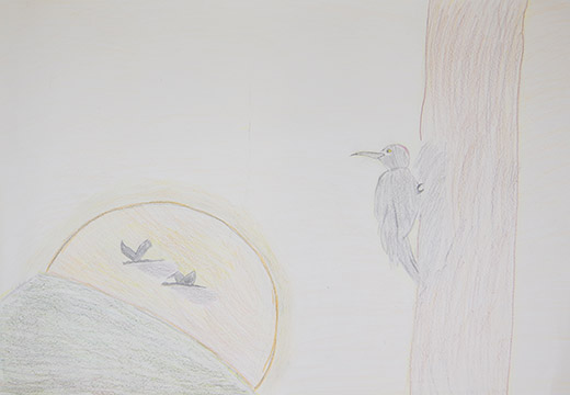 ツルを見つめるキツツキ