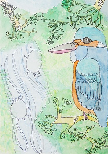 きれいな川とカワセミ