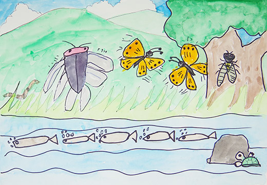 みどりと生き物