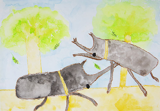 カブトムシのけんか