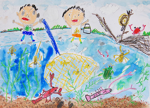 すいちゅうせいぶつがいっぱい