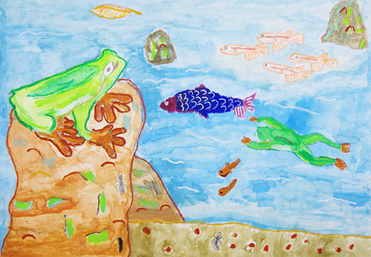 川をながめるカエル