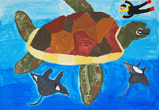 海がめとおよぎたい