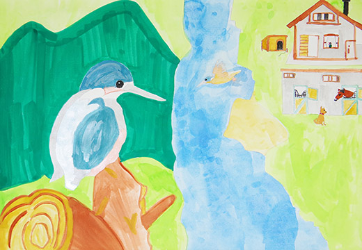 カワセミのいるところ