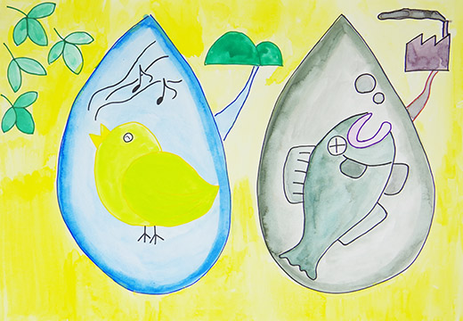 汚れた水、美しい水に生きる生物