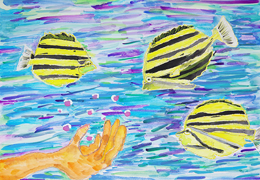 寄ってきたよカゴカキダイ