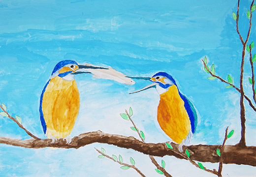 カワセミの求愛