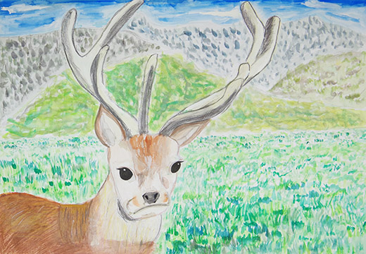 大切なのは一緒