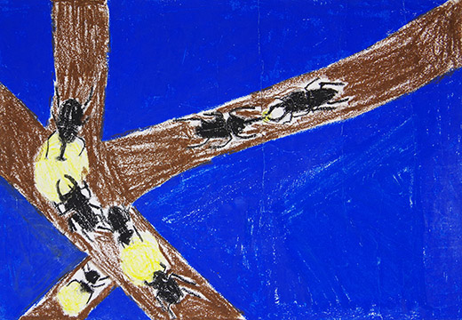 夜のカブトムシとクワガタムシの生活