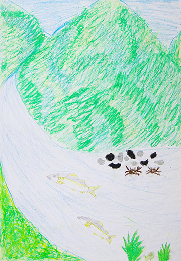 あゆの住めるきれいな川