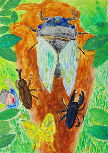 ベランダから見た虫たち