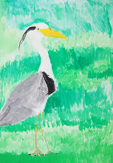 アオサギと田んぼ