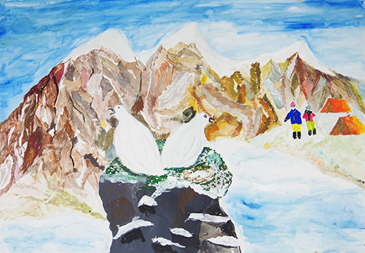 雷鳥の冬山観測