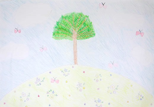 美しい景色を未来まで