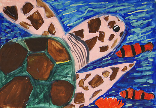 カメとかくれクマノミ