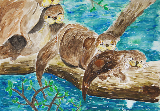 ひなたでくつろぐコツメカワウソ