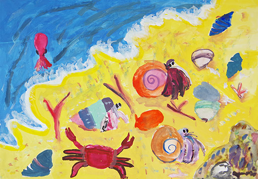 うみべの生き物