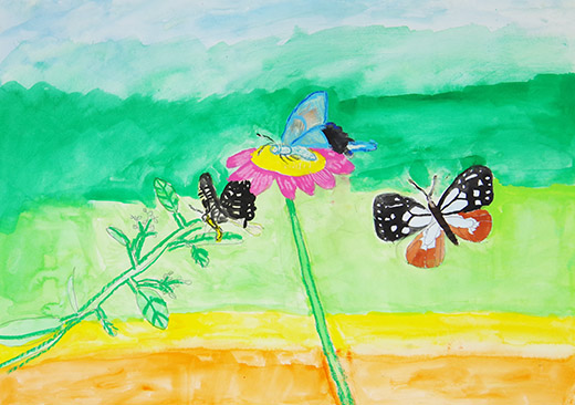 ミツをすいにきたチョウ