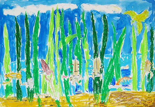 タガメと水カマキリの戦い