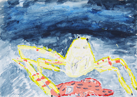 タカアシガニとフサカサゴ