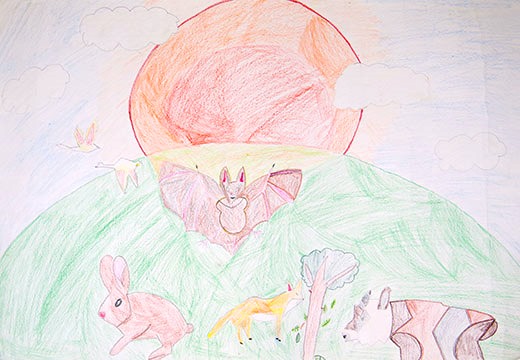 自然と夕日と動物