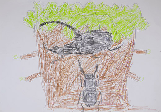 くわがたむしとかぶとむし