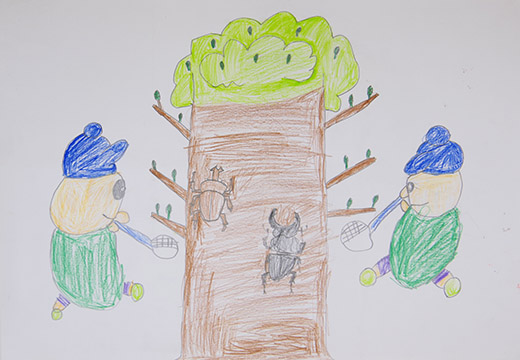 カブトムシ・クワガタムシを見つけたよ