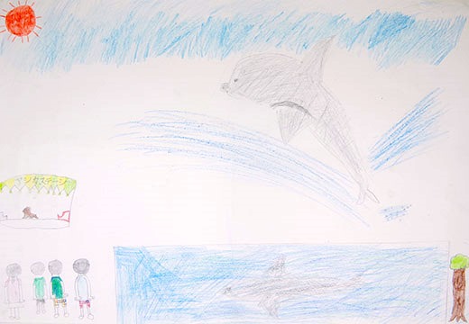 イルカが、ジャンプ